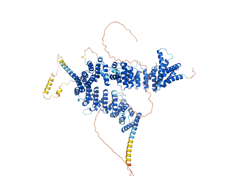 AlphaFold predicted structure of YCG1