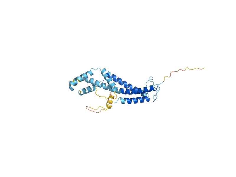 AlphaFold predicted structure of CTR3