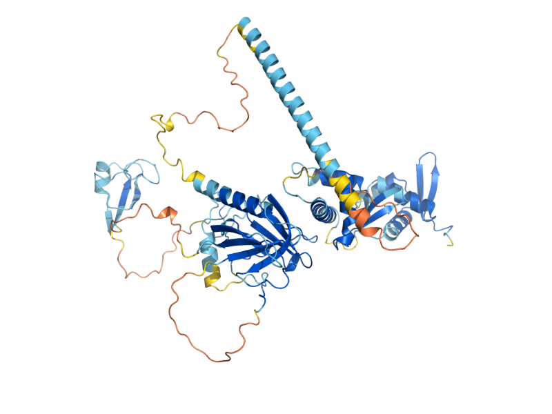 AlphaFold predicted structure of VPS36