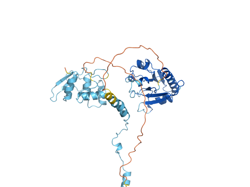 AlphaFold predicted structure of CDC73