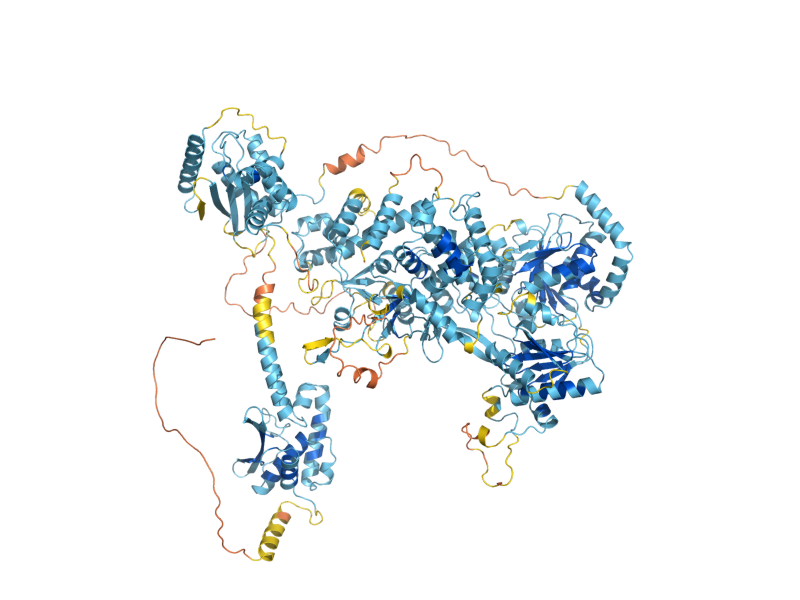 AlphaFold predicted structure of YLR419W