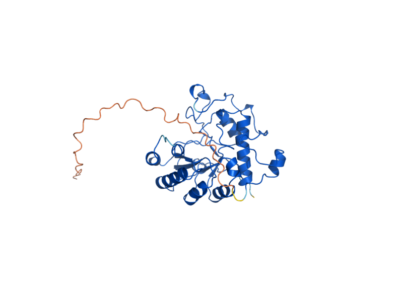 AlphaFold predicted structure of CDA2