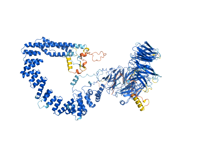 AlphaFold predicted structure of IKI3
