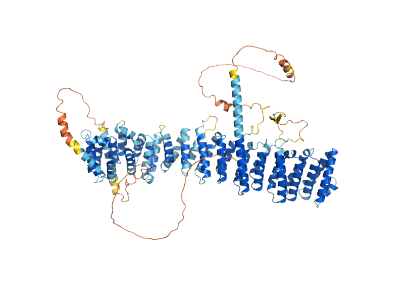 AlphaFold predicted structure of VAC14