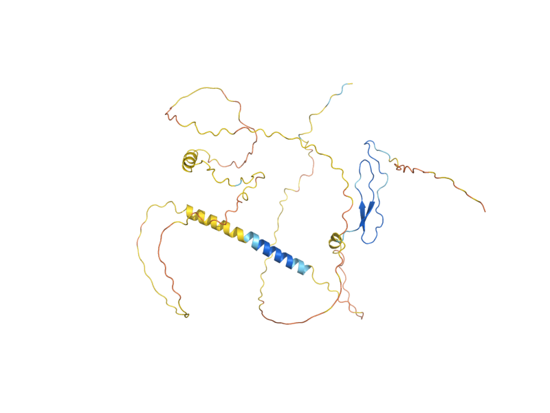 AlphaFold predicted structure of OPY2