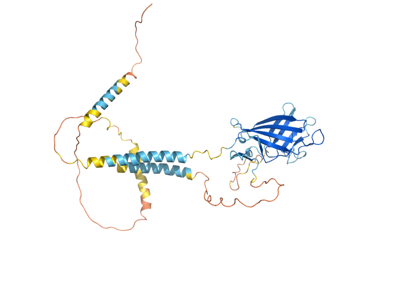 AlphaFold predicted structure of MRL1