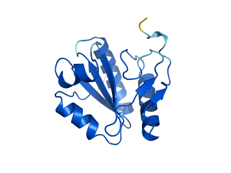 AlphaFold predicted structure of DIB1