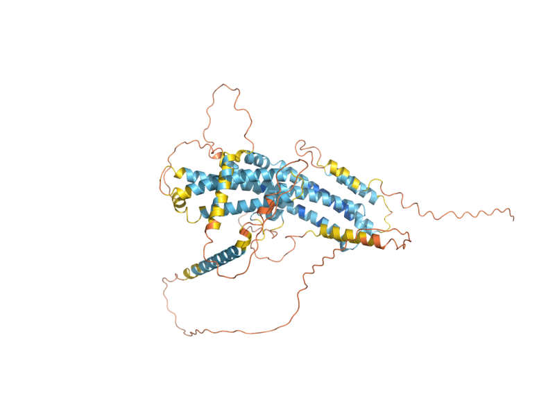 AlphaFold predicted structure of MDM36