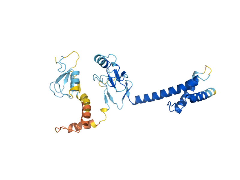 AlphaFold predicted structure of ASR1