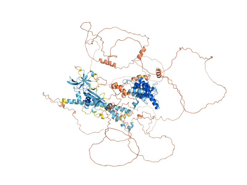 AlphaFold predicted structure of SYT1