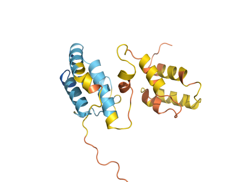 AlphaFold predicted structure of RAF1