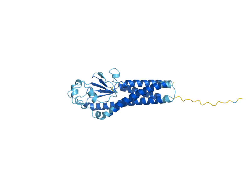 AlphaFold predicted structure of PUN1