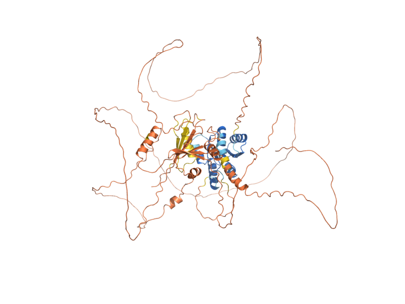 AlphaFold predicted structure of SSK1