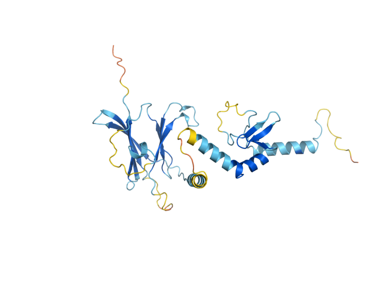 AlphaFold predicted structure of PRP11