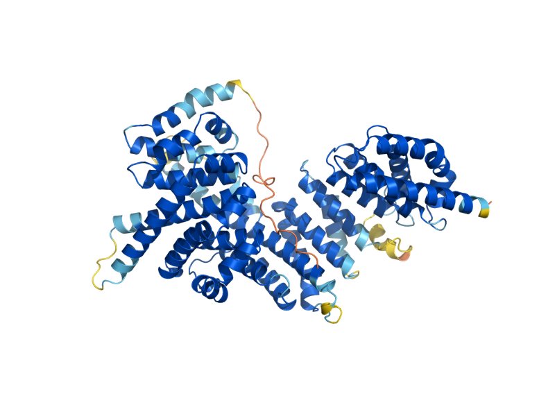 AlphaFold predicted structure of SYO1