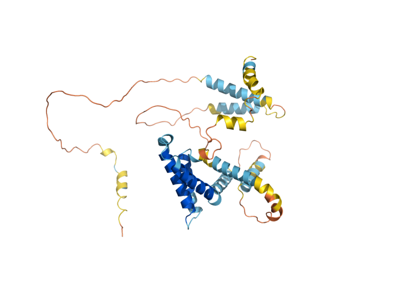 AlphaFold predicted structure of PEX19