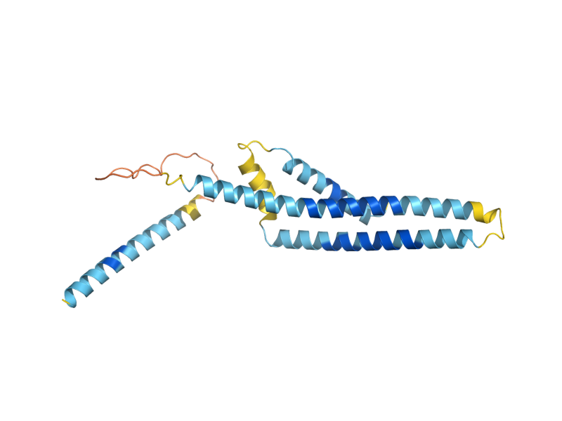 AlphaFold predicted structure of YET3