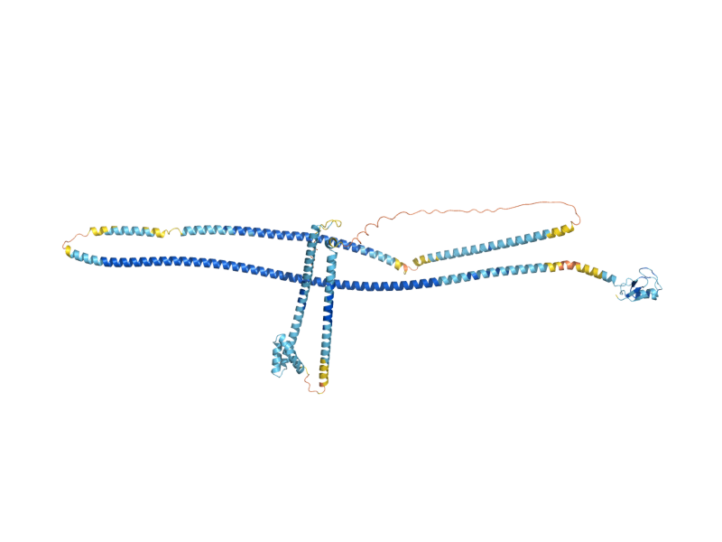 AlphaFold predicted structure of BRE1