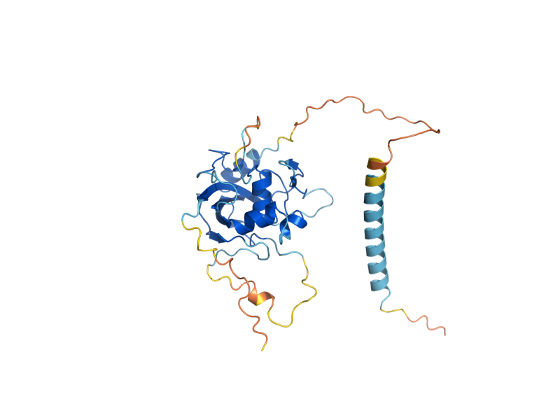 AlphaFold predicted structure of RXT3