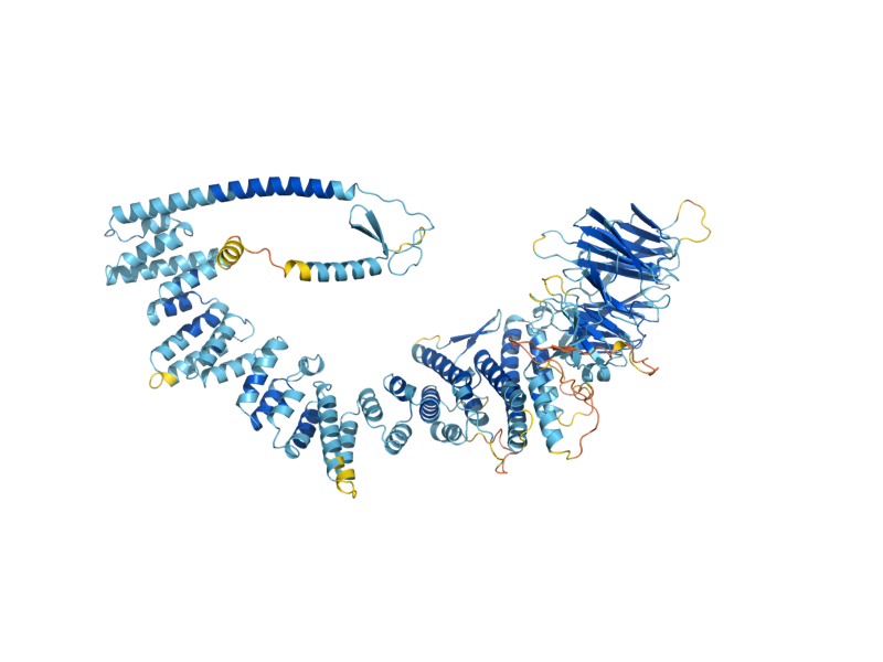 AlphaFold predicted structure of VAM6