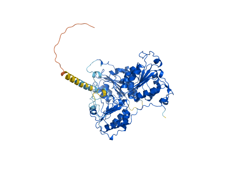 AlphaFold predicted structure of THI3