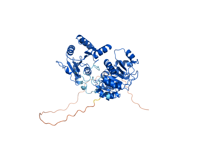AlphaFold predicted structure of SUB2