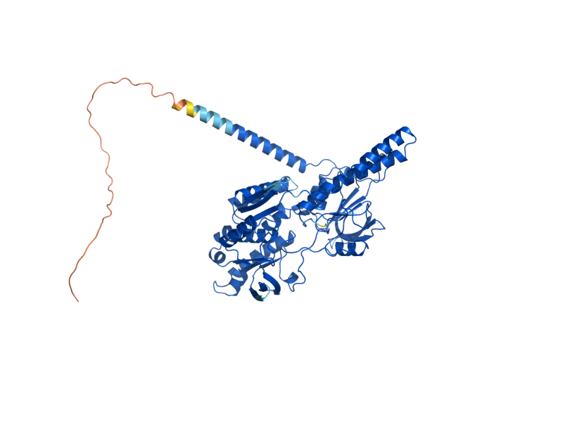 AlphaFold predicted structure of NDE2