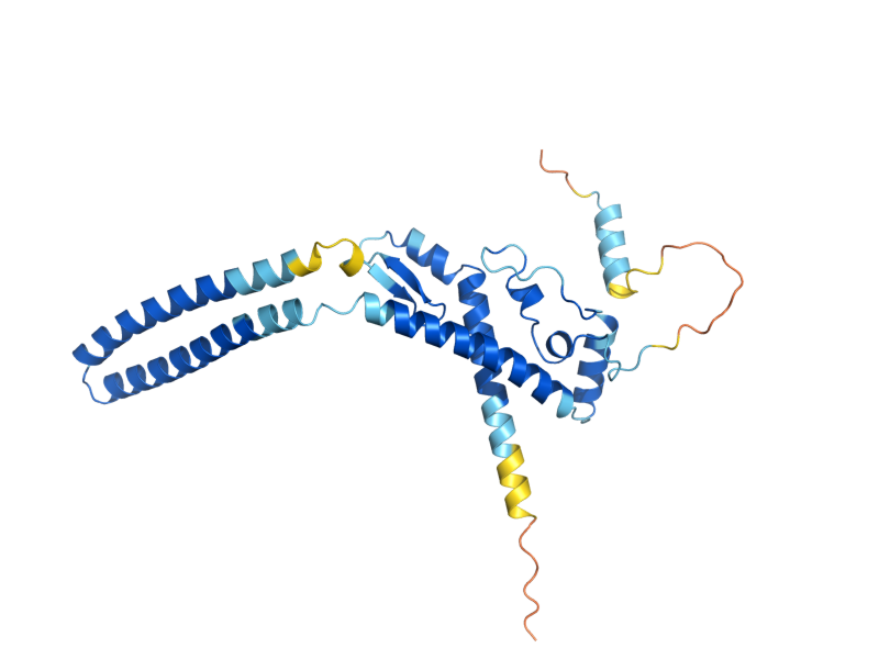 AlphaFold predicted structure of LUC7