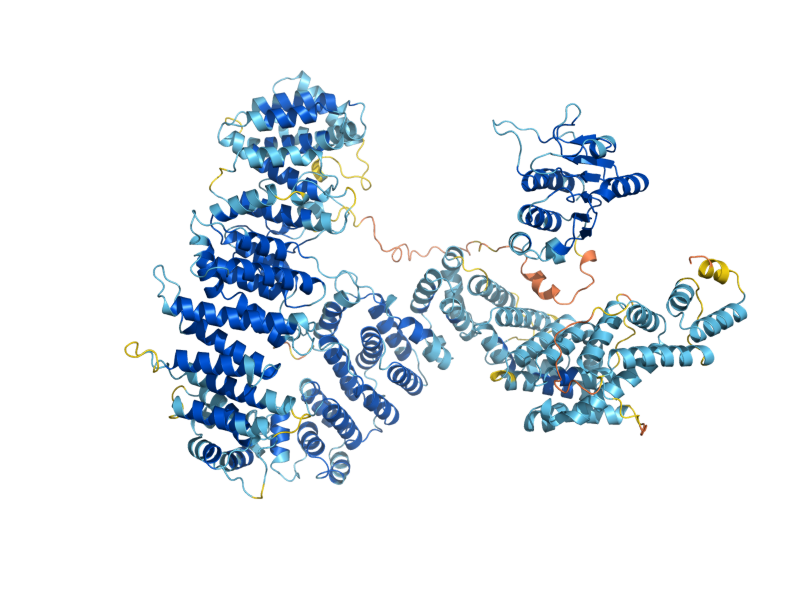 AlphaFold predicted structure of TRM3