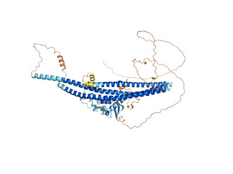 AlphaFold predicted structure of ATG20