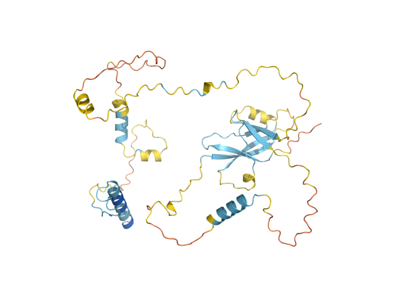 AlphaFold predicted structure of IWR1