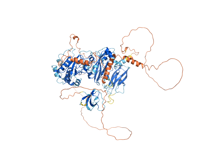 AlphaFold predicted structure of CYK3