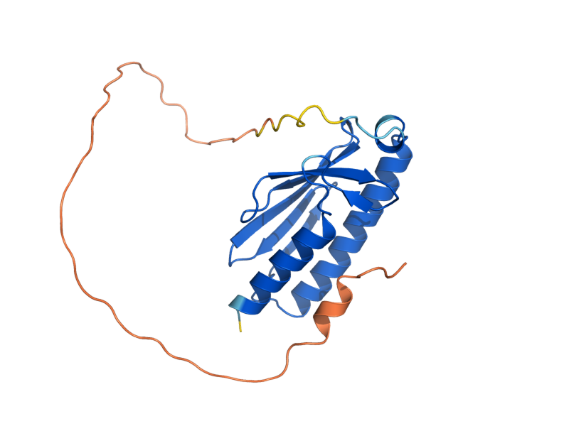 AlphaFold predicted structure of YFH1