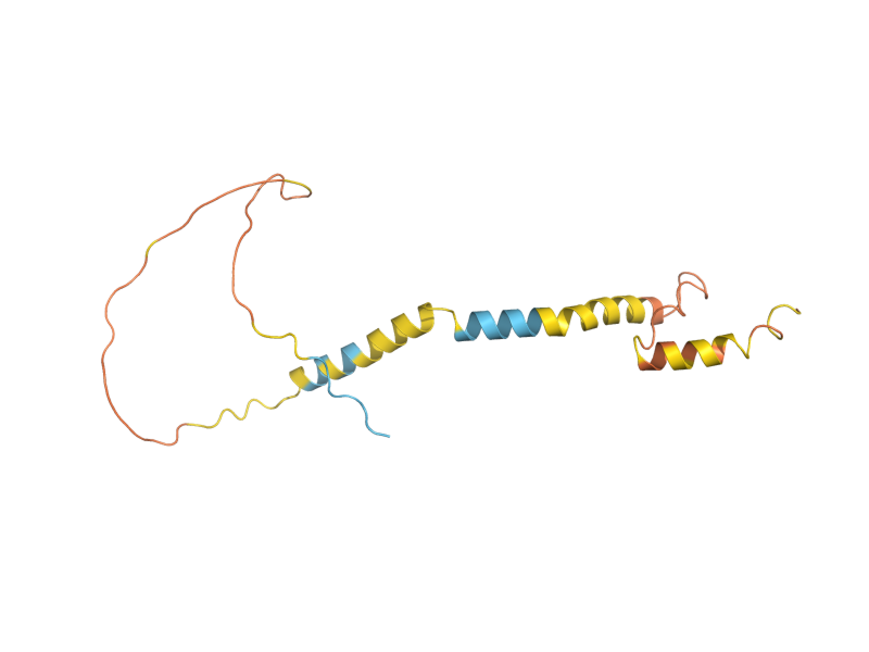 AlphaFold predicted structure of SNA4