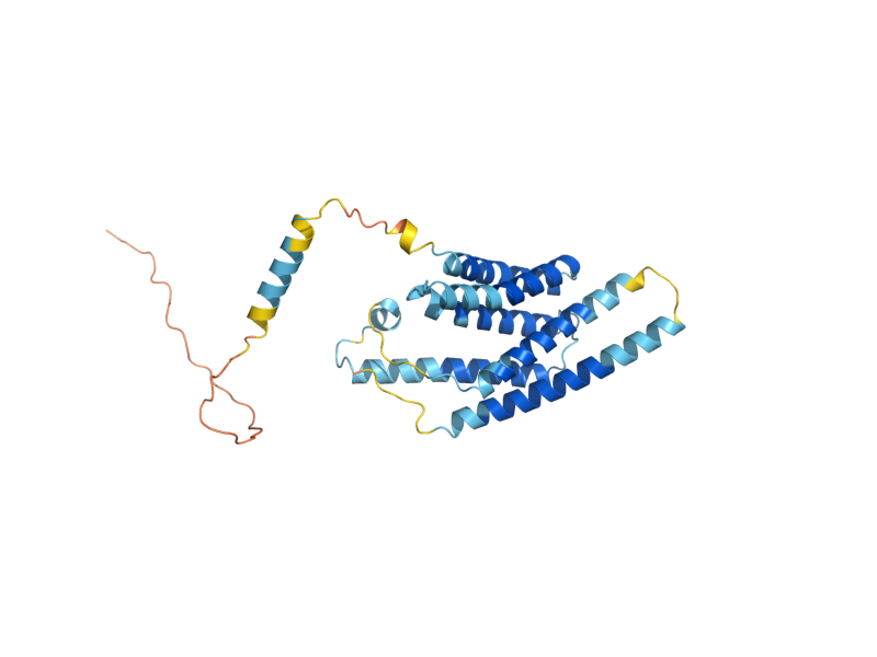 AlphaFold predicted structure of CRD1
