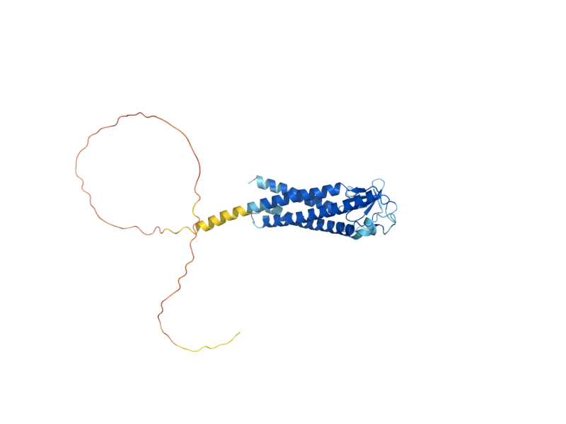 AlphaFold predicted structure of FMP45