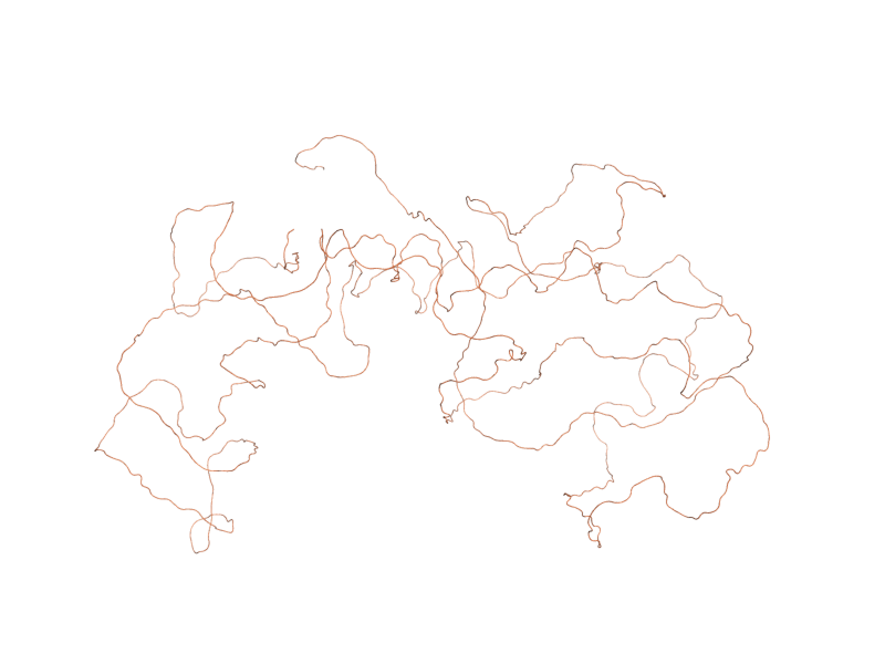 AlphaFold predicted structure of HBT1