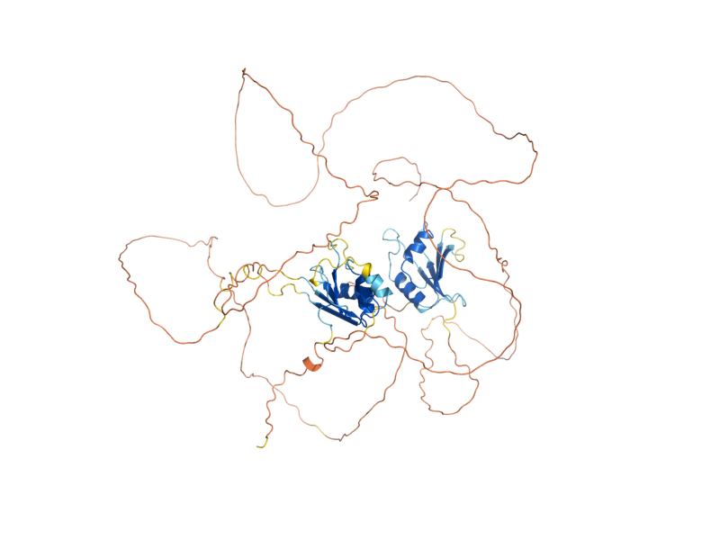AlphaFold predicted structure of WHI4