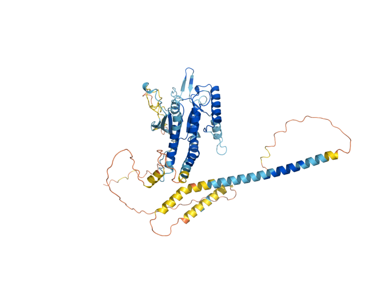 AlphaFold predicted structure of SHS1
