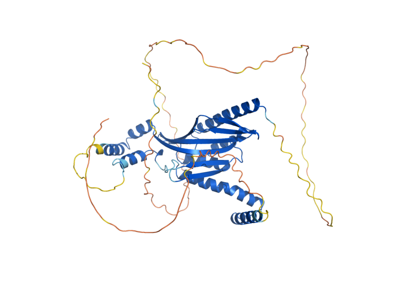 AlphaFold predicted structure of MFG1