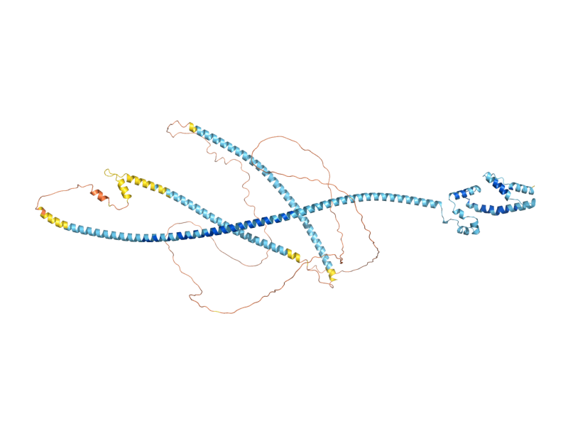 AlphaFold predicted structure of ADY3