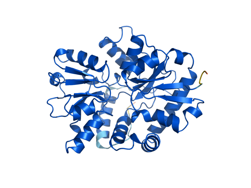 AlphaFold predicted structure of THI13