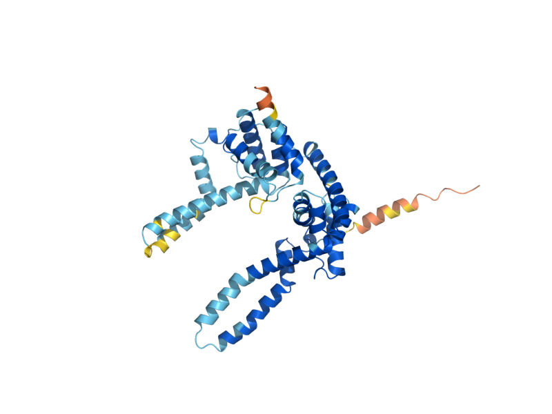 AlphaFold predicted structure of COS7