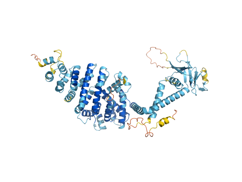 AlphaFold predicted structure of LMO1