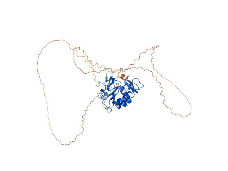 AlphaFold predicted structure of PSR1