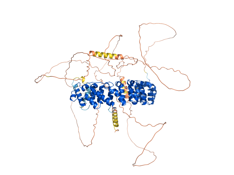 AlphaFold predicted structure of PUF3