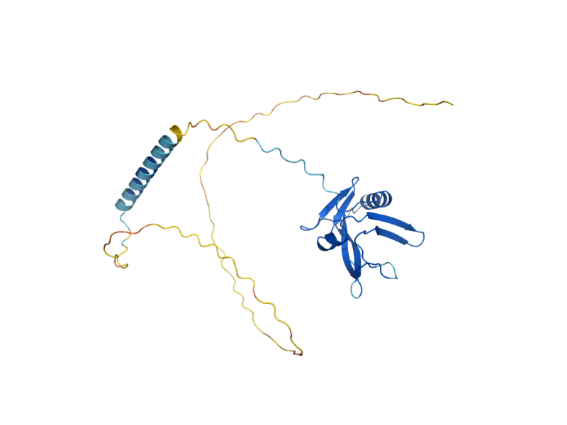AlphaFold predicted structure of ISA1