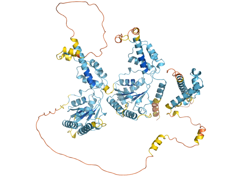 AlphaFold predicted structure of RIX7
