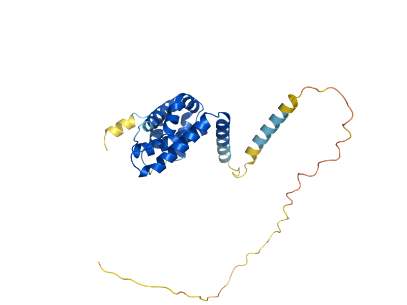 AlphaFold predicted structure of ENT4