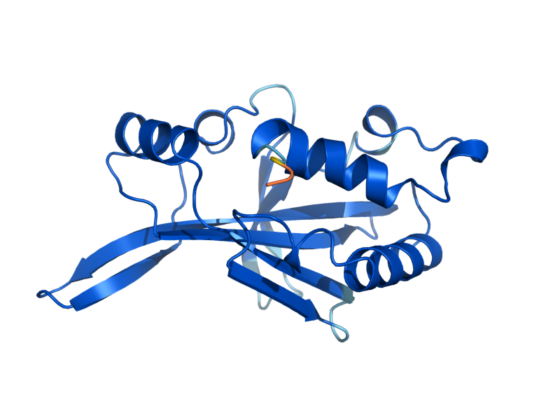 AlphaFold predicted structure of ATG10
